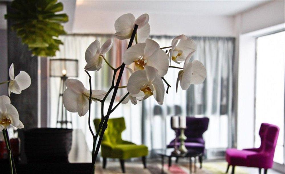 Hotel Feliz Palma di Maiorca